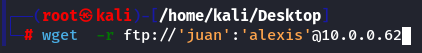 friendly wget.png